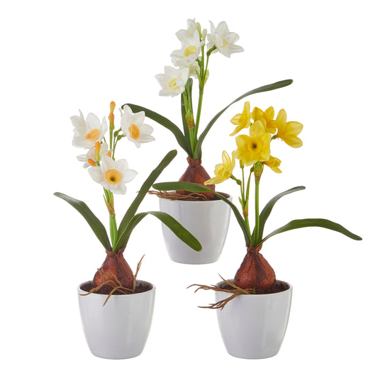 RAZ Imports 9.5" Spring Real Touch Potted Easter Mini Daffodil Flowers, Set of 3